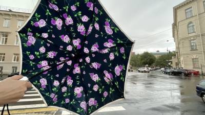 Синоптики предупредили жителей Ленобласти о заморозках и дождях в воскресенье