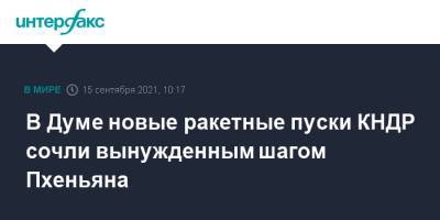 В Думе новые ракетные пуски КНДР сочли вынужденным шагом Пхеньяна