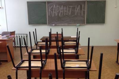 В Ярославской области школу из-за вируса отправили на карантин
