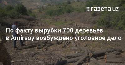По факту вырубки 700 деревьев в Amirsoy возбуждено уголовное дело