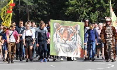 Мэрия Владивостока будет судиться с экологами за День тигра