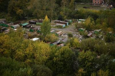 В Новосибирске появится уникальный в России ландшафтный парк