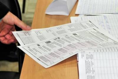 Общественная палата сообщила о фейках в первый день выборов в Госдуму