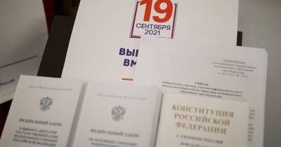 На московской платформе онлайн-голосования заработали электронные очереди