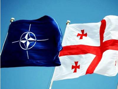 Партнерство Североатлантического альянса с Грузией продолжает оставаться тесным и прочным – представитель НАТО