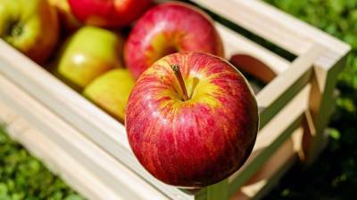 Ряду азербайджанских предприятий разрешили поставлять яблоки в Россию
