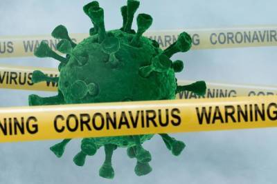Более 800 петербуржцев заразились COVID-19 за минувшие сутки