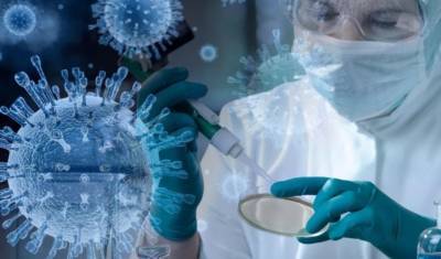 Немецкие врачи изучают процессы старения клеток во время коронавируса