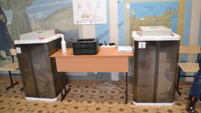 Центризбирком обработал 30% протоколов на выборах в Госдуму