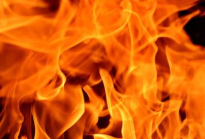 Пожарные спасли четырех человек из горящей квартиры на Малой Балканской