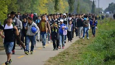 Литва и Польша призывают ЕС пересмотреть миграционную политику