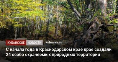 С начала года в Краснодарском крае крае создали 24 особо охраняемых природных территории