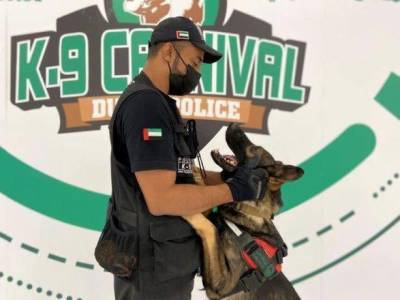 В аэропортах ОАЭ используют собак для обнаружения COVID-19