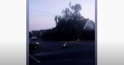 В Мелитополе женщина регулярно поздними вечерами бросается под автомобили (видео)