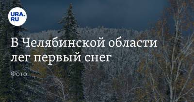 В Челябинской области лег первый снег. Фото