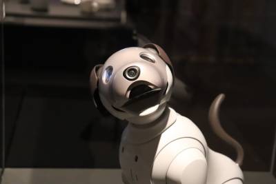 Автозавод в Южной Корее будет охранять робот-пес