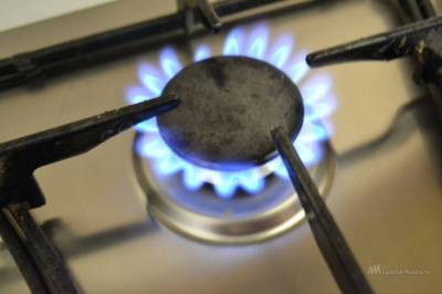 854 квартиры и домовладения отключили от газа за нарушение правил безопасности