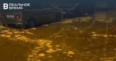 Соцсети: в Казани затопило ЖК «Светлая Долина»