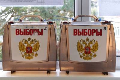 В МВД РФ не зафиксировали серьезных нарушений на выборах
