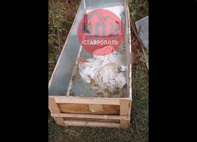 В лесу на Ставрополье найден оцинкованный гроб из-под тела восьмилетней девочки
