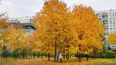 Кардиолог Маршинцева перечислила способы улучшения самочувствия осенью