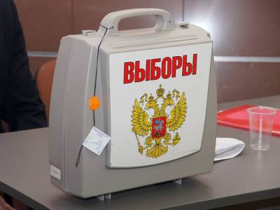 Наблюдатели пожаловались в ГИК на аномальное количество надомников в Василеостровском районе