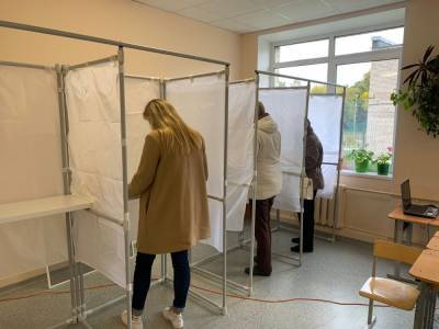 Выборы в Ленобласти проходят спокойно и без нарушений