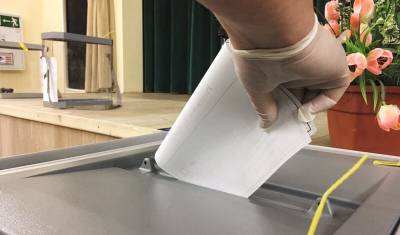 В Приморье стали известны первые данные по явке на голосование