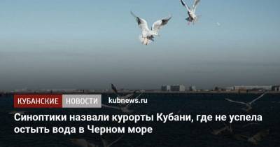 Синоптики назвали курорты Кубани, где не успела остыть вода в Черном море