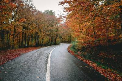 Автолюбителей предупредили о неожиданной опасности из-за осенних листьев на дорогах