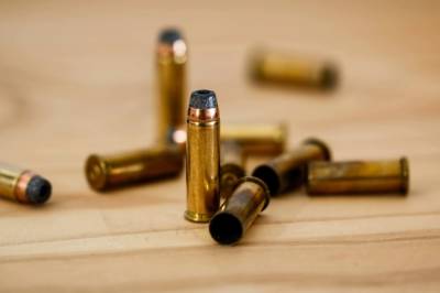 Политик предложил меры по борьбе со стрельбой в учебных заведениях