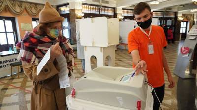 Евродепутат от ФРГ положительно оценил организацию выборов в Госдуму