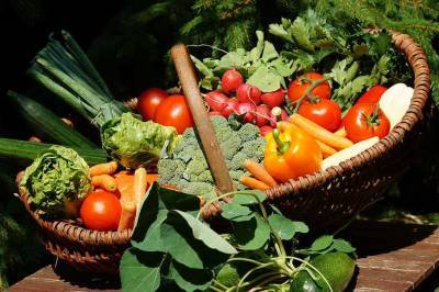 Петербургские ученые создут прибор для выявления химикатов в овощах и фруктах