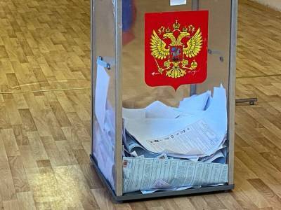 Как проходит второй день выборов в Ленобласти
