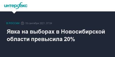 Явка на выборах в Новосибирской области превысила 20%