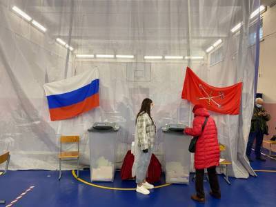 Только треть: в Петербурге промежуточно подсчитали явку избирателей на выборы