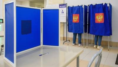 В двух регионах Северо-Запада явка в первые полдня голосования превысила 10%
