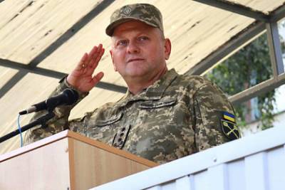 Украина запланировала начать наступление в Донбассе в случае болезни Путина