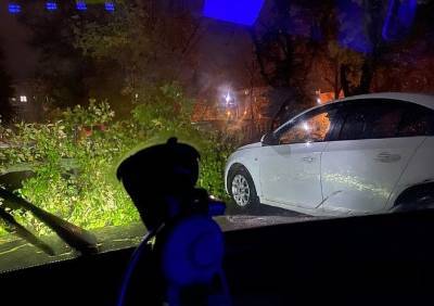 В Приокском упавшее дерево повредило две машины - ya62.ru - Рязань - Приокск