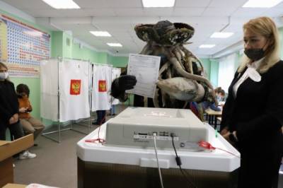 Дейви Джонс пришел проголосовать на выборах на Камчатке