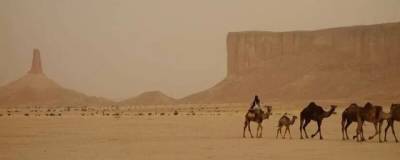 Созданные 8 тысяч лет назад в Северной Аравии статуи верблюдов признаны древнейшими