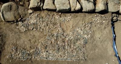 Возраст 3500 лет: в Турции нашли древнейшую в мире мозаику (фото)