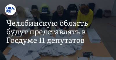 Челябинскую область будут представлять в Госдуме 11 депутатов. Фамилии