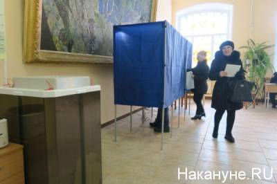 Депутат ЗСО обратилась в полицию из-за двойного голосования на участке в Челябинске