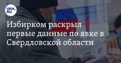 Избирком раскрыл первые данные по явке в Свердловской области