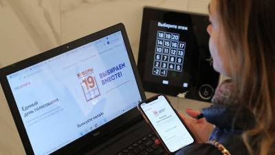 Политолог предсказал скорый переход на онлайн-голосование в России