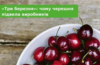 «Три марта»: почему черешня подвела производителей - agroportal.ua - Украина