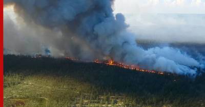 Лесные пожары в России в 2021 году назвали самыми катастрофичными за всю историю