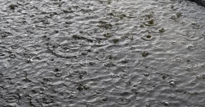Во второй половине недели дожди "накроют" всю территорию Латвии
