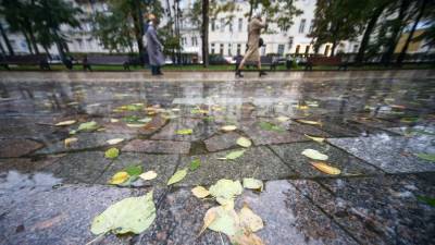 Вильфанд посоветовал москвичам не бояться прогнозов о сильных дождях